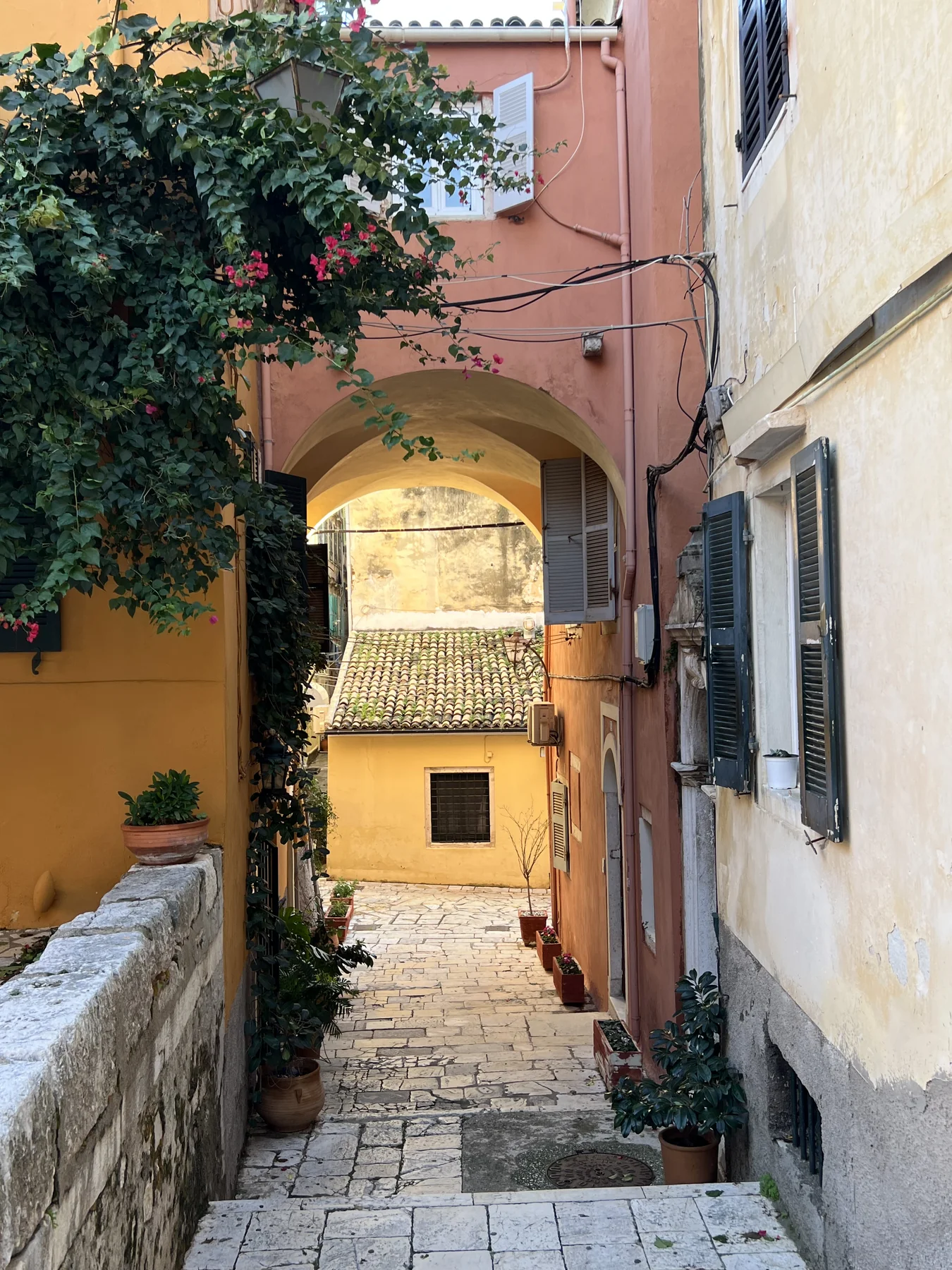 Courtyard passage with bougainvillea arch, terracotta pots