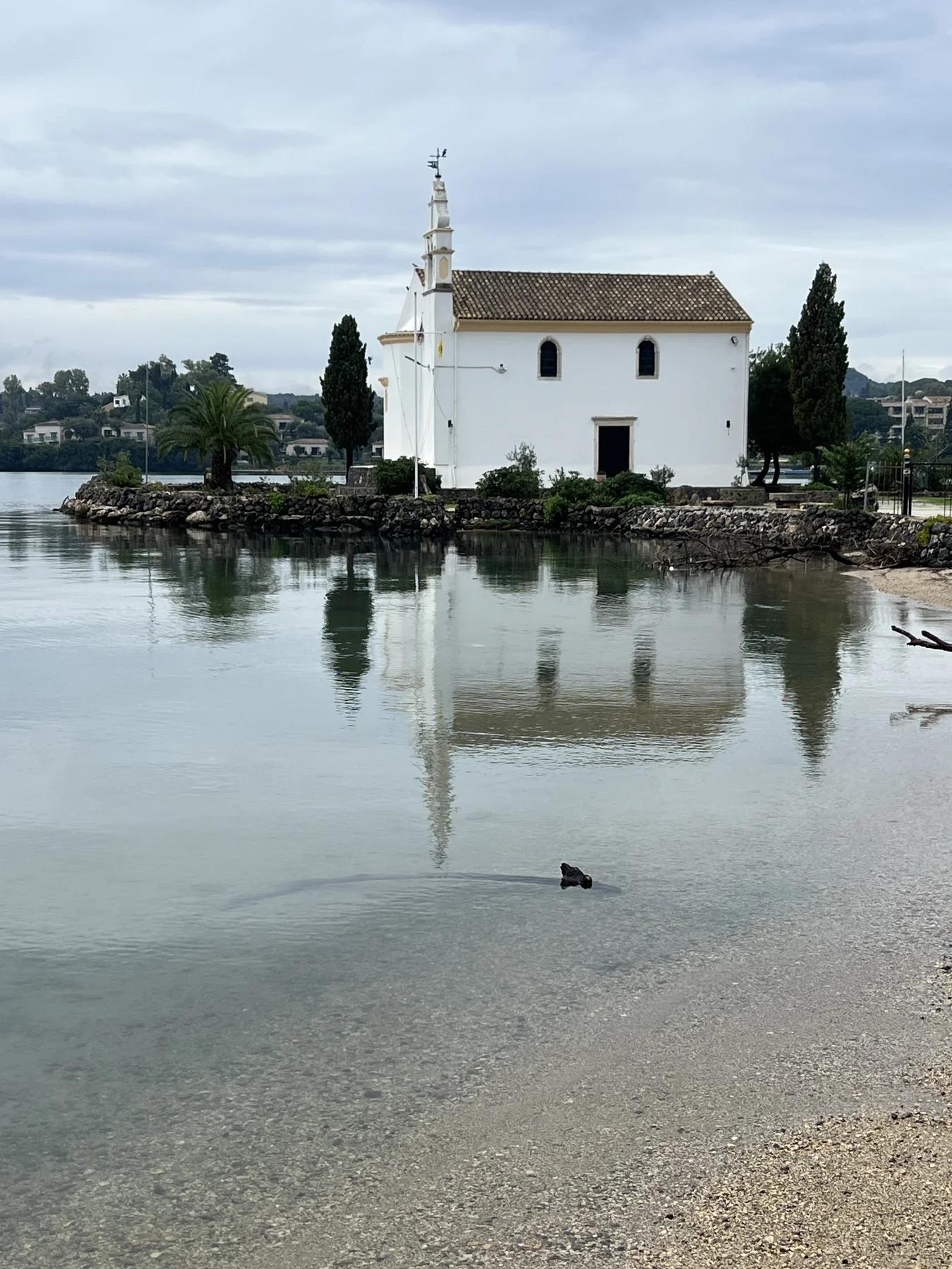 White church on small islet, still water reflection, coot swimming in foreground, grey sky
