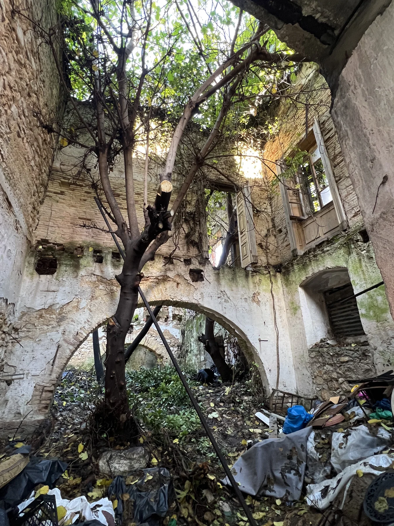 Ruined building interior — tree growing through vaulted arch roof, overgrown, debris