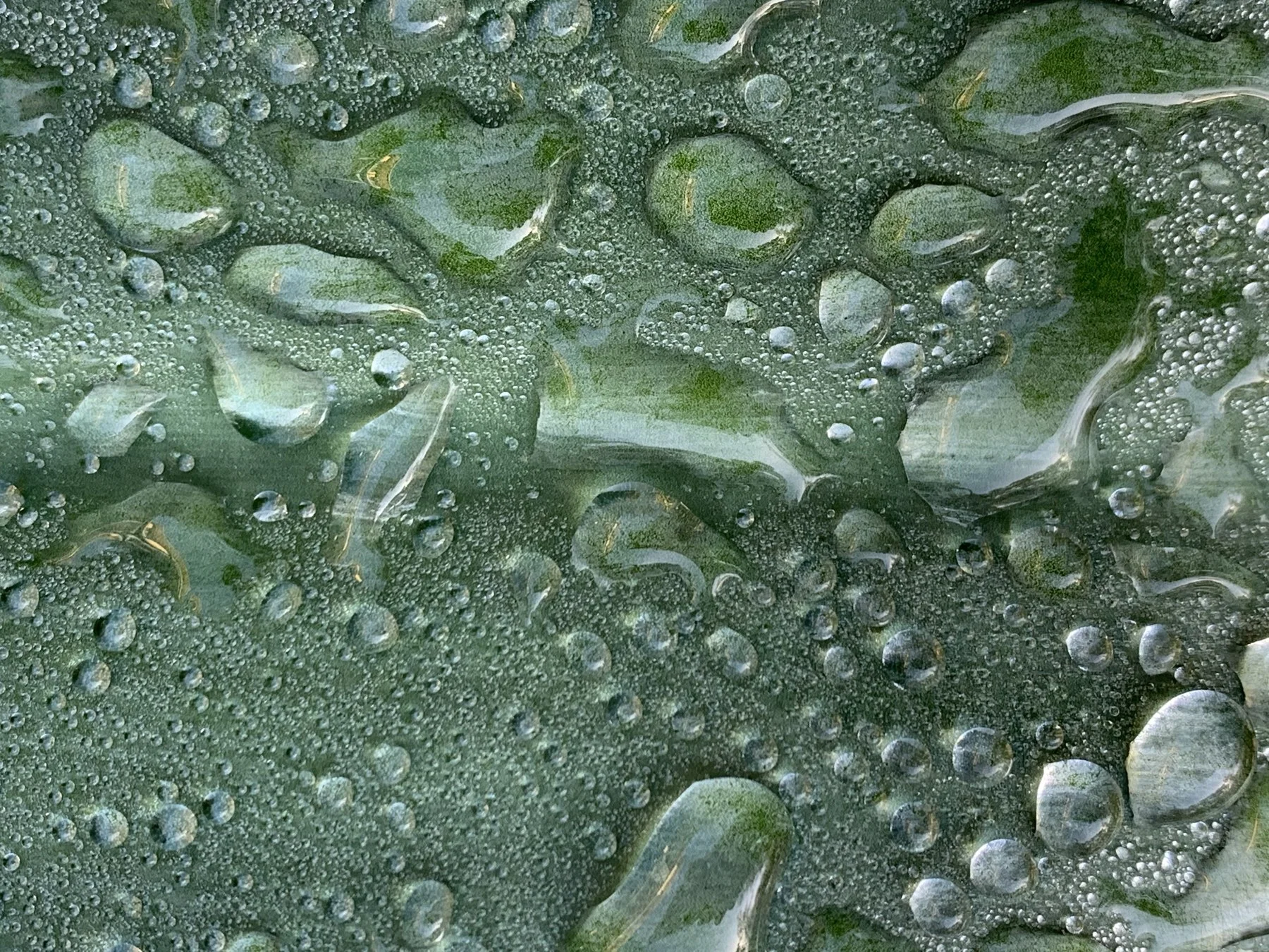 Green — Rainwater on a leaf
