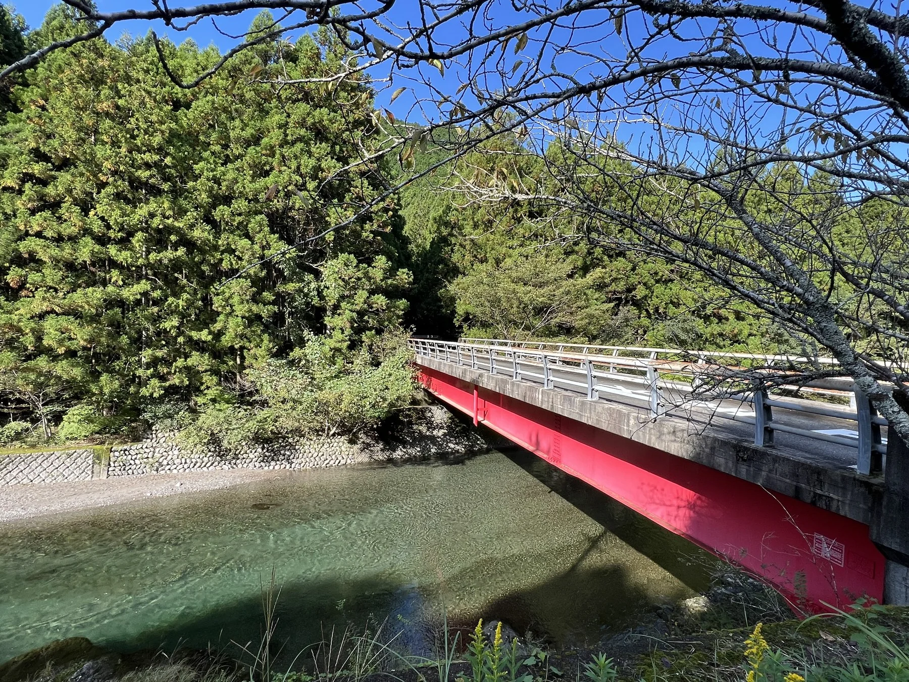 Red bridge over clear river, cedar forest