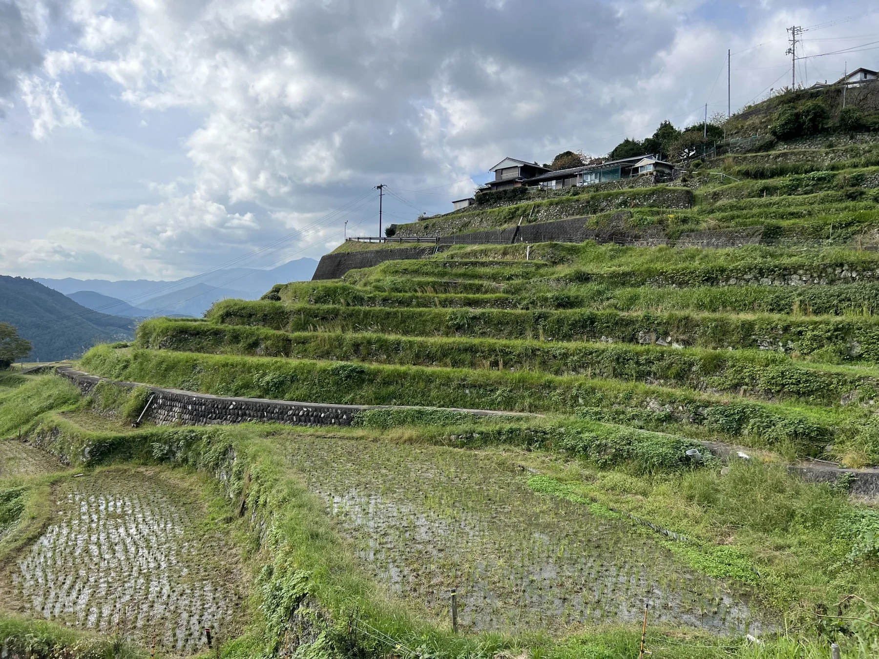 Terraced rice paddies with village above on hillside