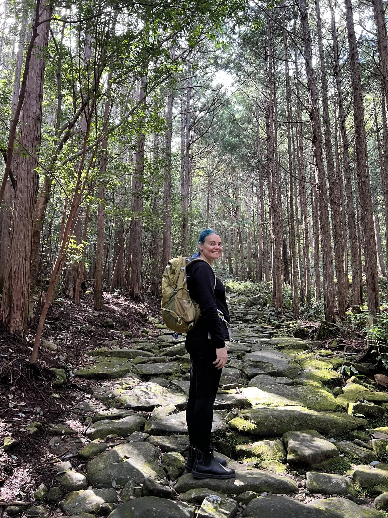 Kumano Kodo Iseji — ancient stone path through cedar forest