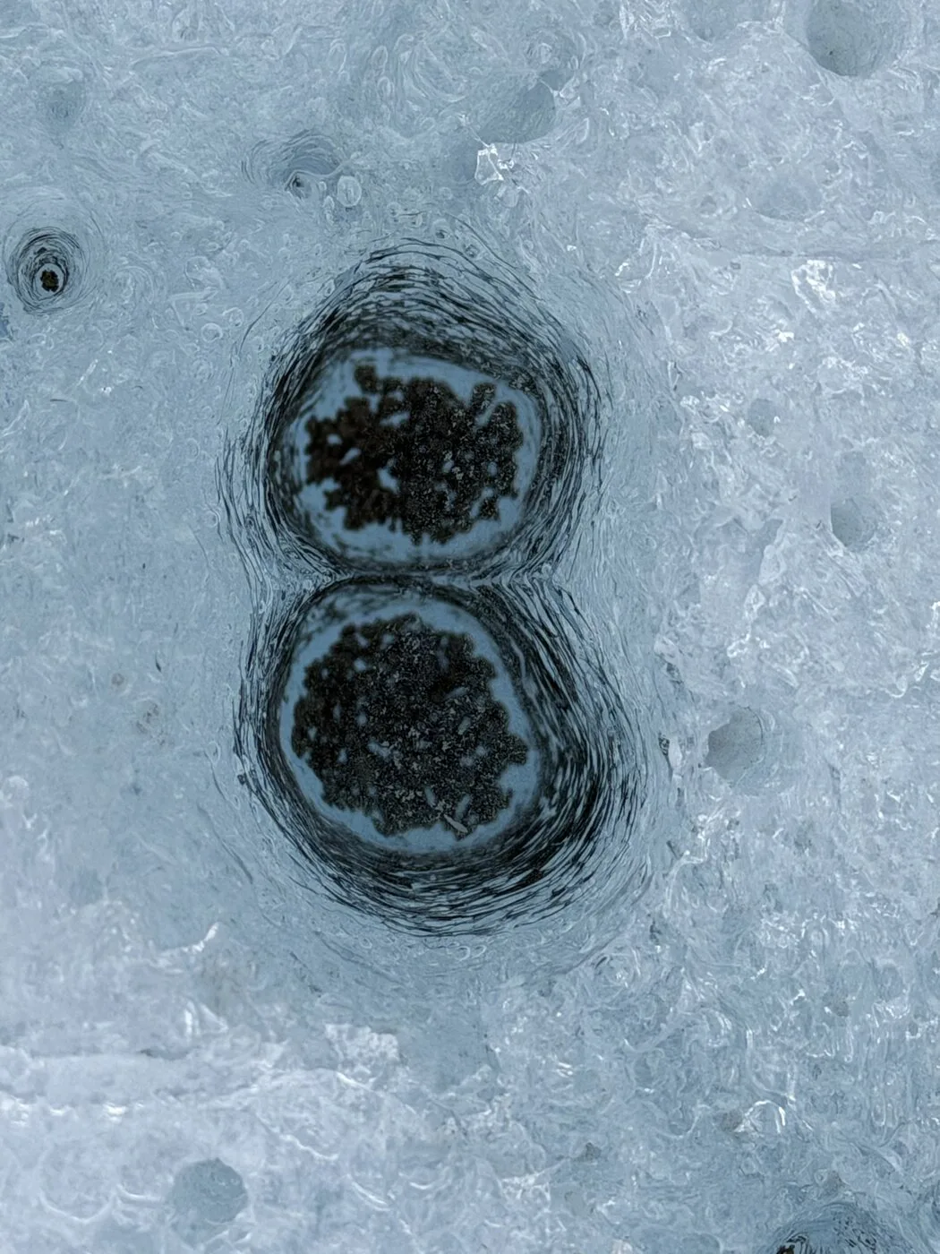 A figure of eight melted into glacier ice — two round cryoconite hollows, stacked