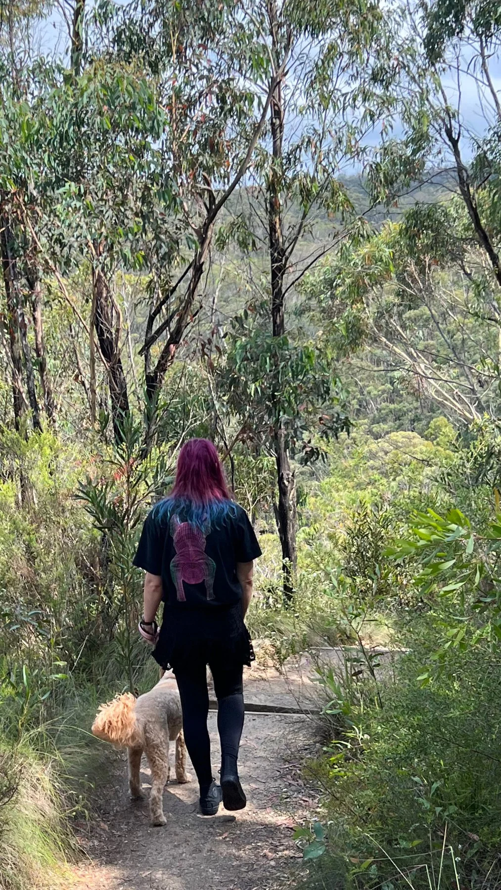 Walking — bush trail, Sydney